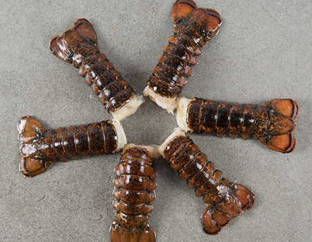 lobster-tails