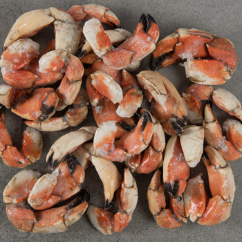 jonah-crab