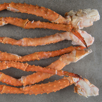 king-crab