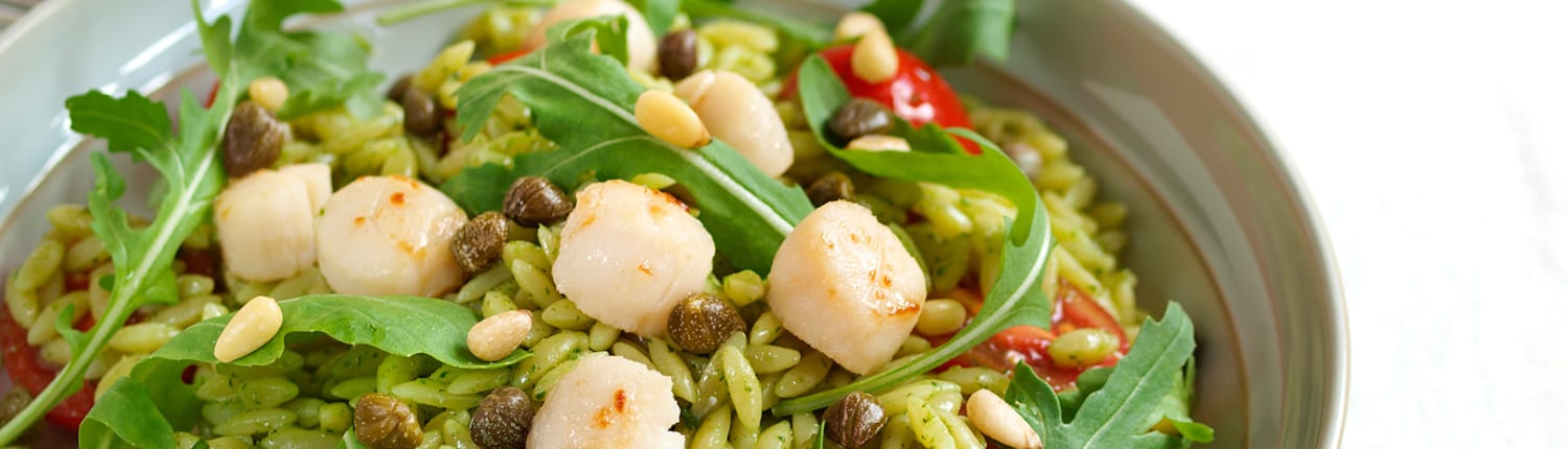 bay-scallops-plated