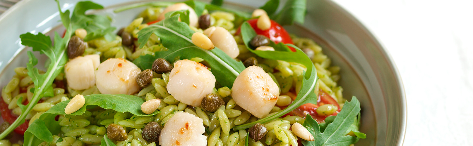 bay-scallops-plated
