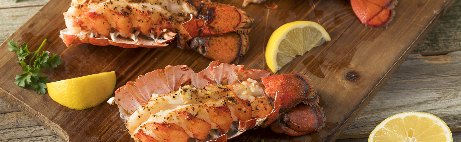 seatrek lobster cooked seatrek lobster cooked