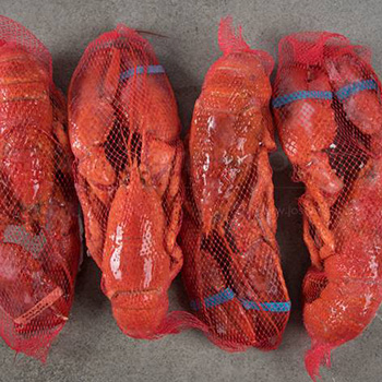 seatrek-lobster-whole seatrek-lobster-whole